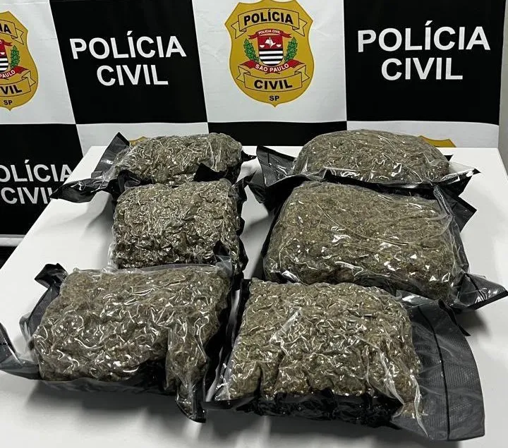 Polícia Civil - Sorocaba/SP