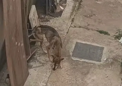  Foto: Polícia Militar